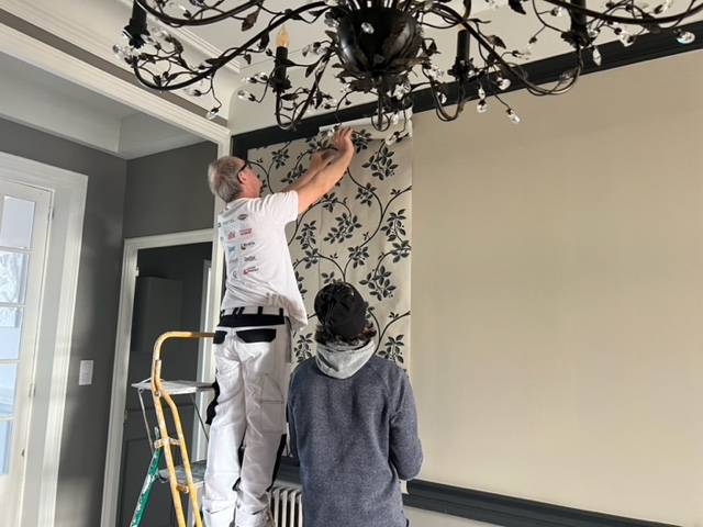 Vente et pose de papier peint végétal FARROW & BALL à Toulon dans le 83