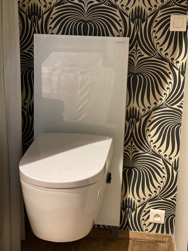 Vente de toilette suspendu de la marque geberit à Toulon dans le VAR