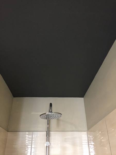salle de bains, plafond foncé à Toulon
